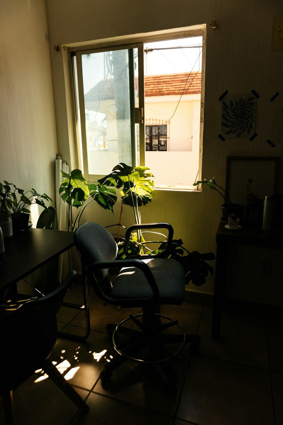 Catalyst Co-working